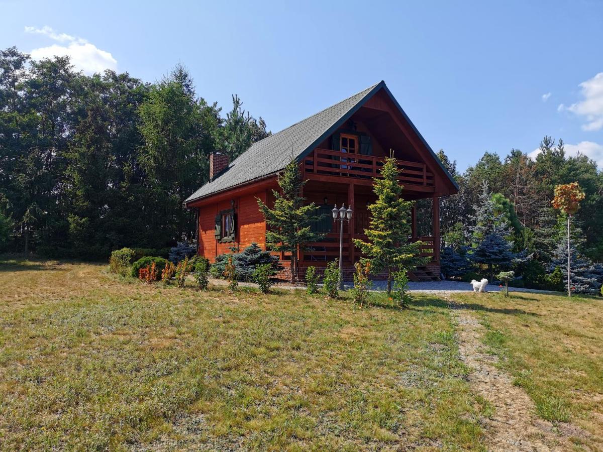 Domek Na Wsi Nad Jeziorem , Prywatny Staw Kamienczyk Dezerta Esterno foto